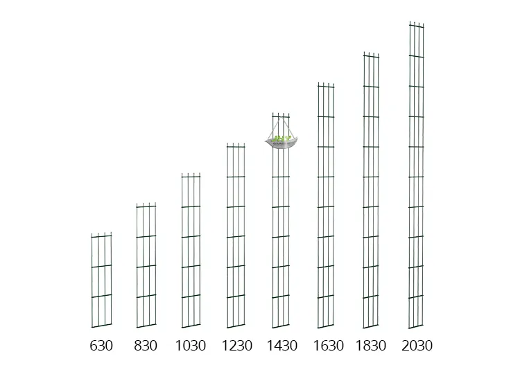 4.webp1