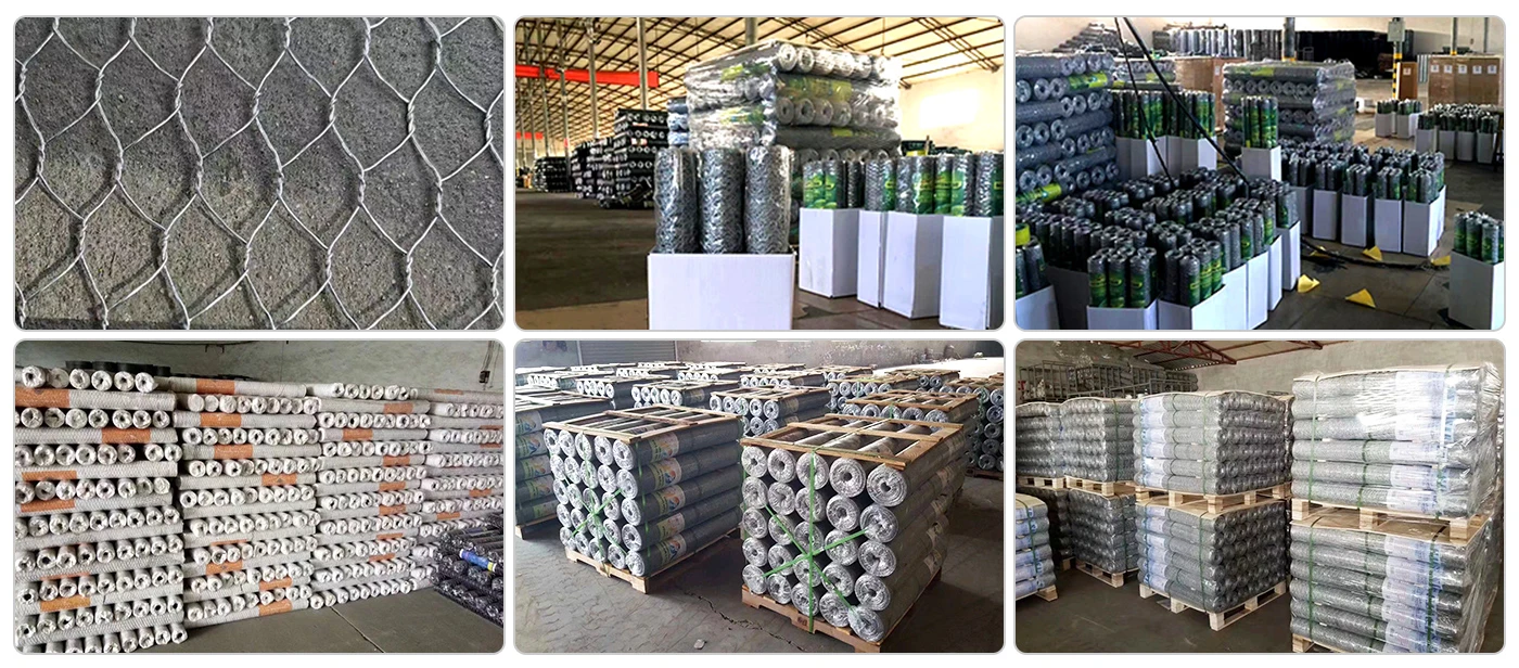 Hexagonal Wire Netting Warehouse.webp Hexagonal Wire Netting Warehouse.webp